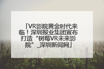 VR影院黄金时代来临！深圳报业集团宣布打造“树莓VR未来影院”_深圳新闻网